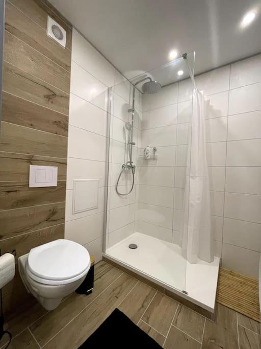 Apartment Touch - Fibre*near Basel*cosy *